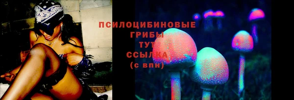 МДМА Богородицк
