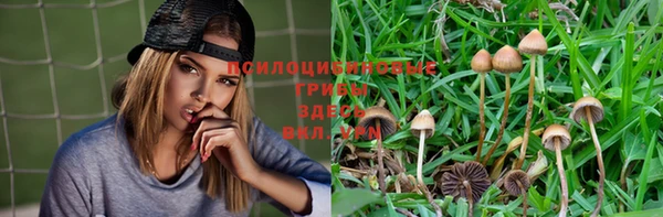 mdpv Богданович